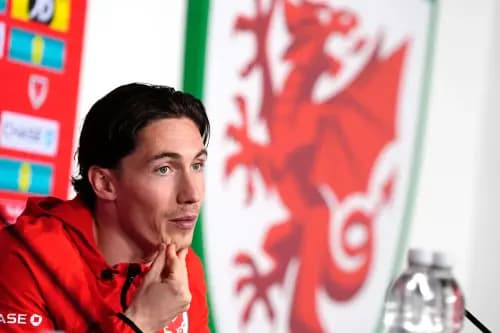Wales' Harry Wilson. Pic: Alamy