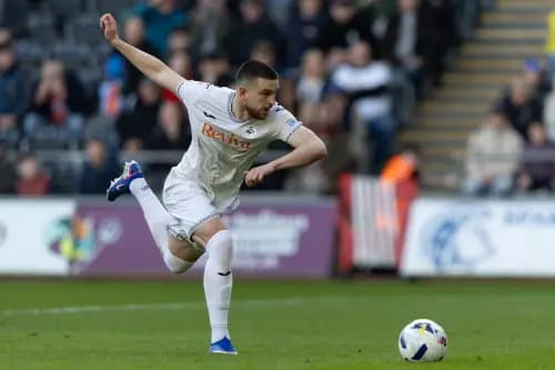 Zan Vipotnik of Swansea City. Pic: Alamy