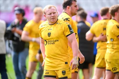 Tinus de Beer of the Dragons. Pic: Alamy