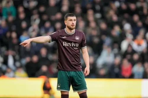 Zan Vipotnik of Swansea City. Pic: Alamy