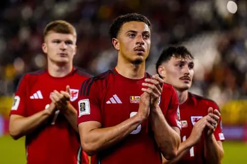 Ethan Ampadu, Wales. Pic. Alamy